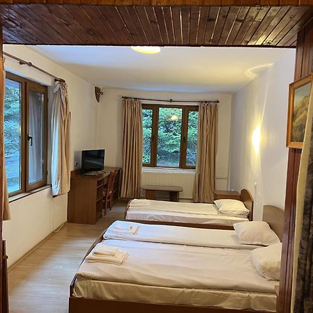 Ski Hotel Katerina Bansko Dış mekan fotoğraf
