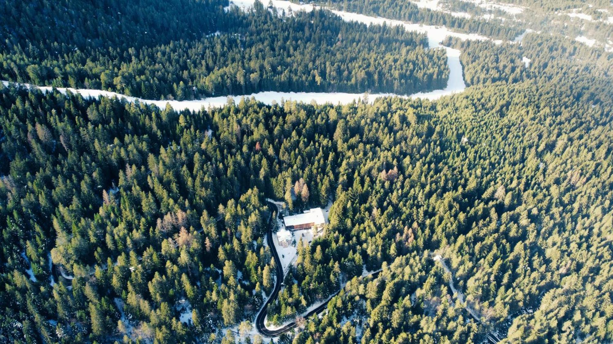 Ski Hotel Katerina Bansko Dış mekan fotoğraf