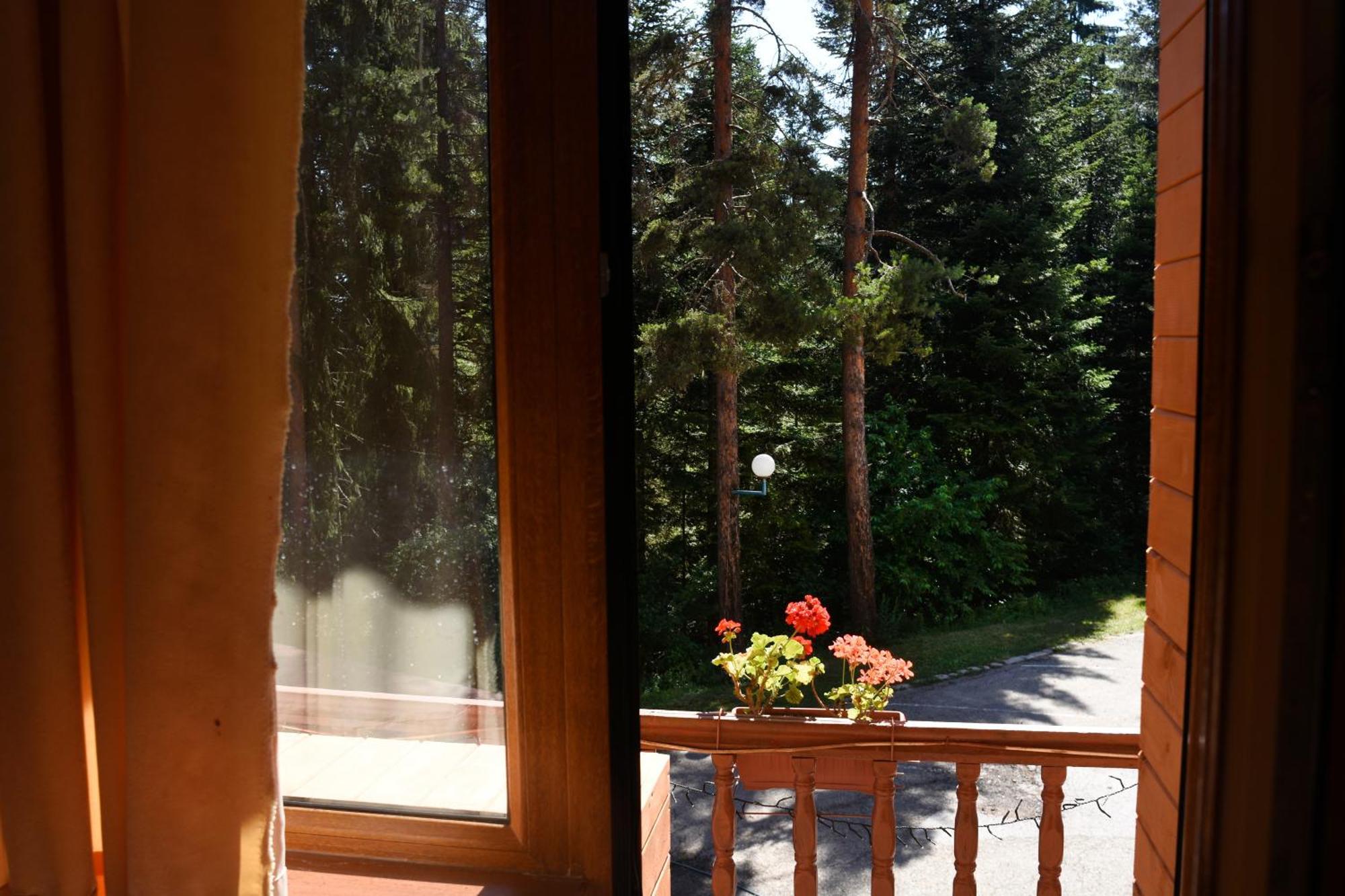 Ski Hotel Katerina Bansko Dış mekan fotoğraf